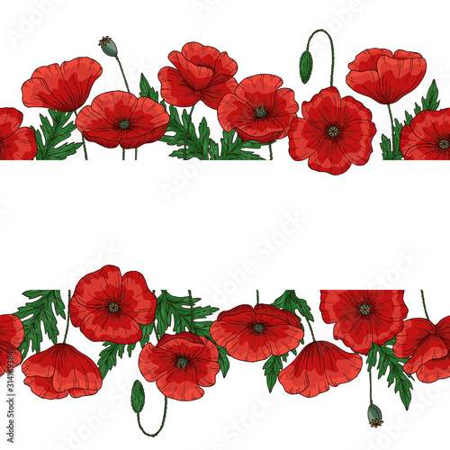 Saemless border with red poppy flowers. Papaver. Green stems and leaves. Hand drawn vector illustration. Isolated on white background.
