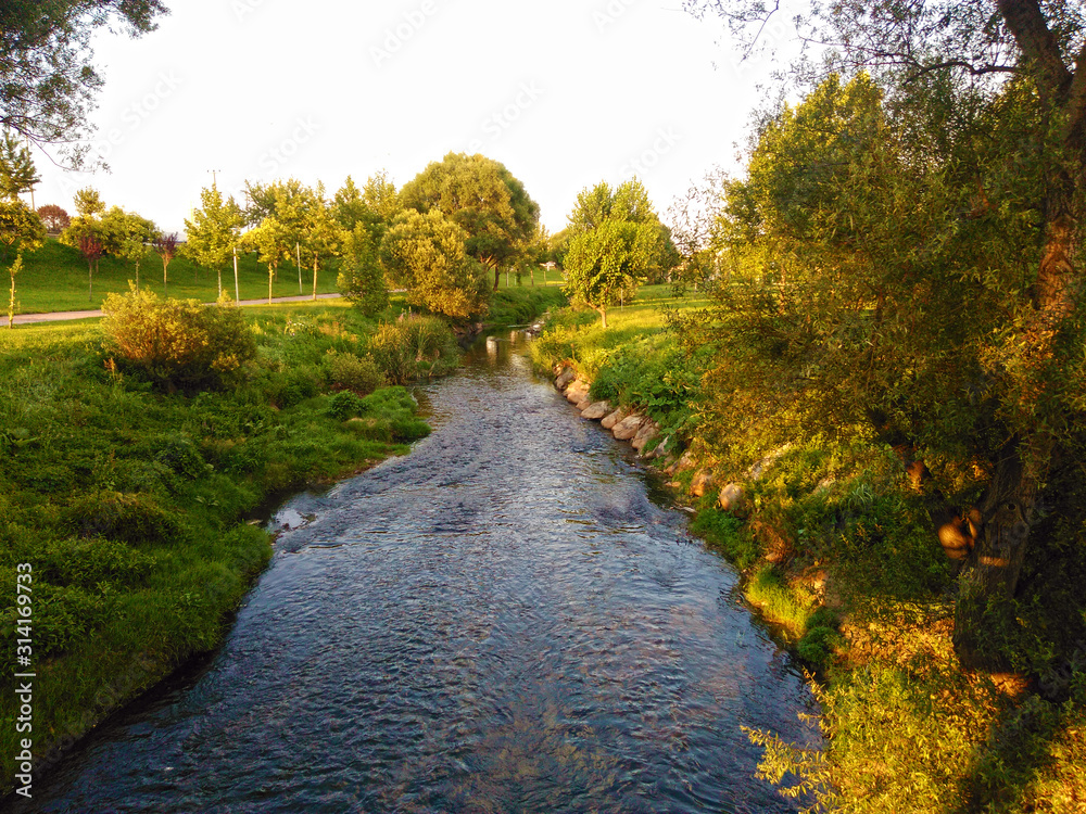 Fototapeta premium Stream flowing in green tree park