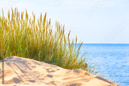 Fototapeta Naklejka Na Ścianę i Meble -  Bright Tranquil Place at Sea / Idyllic nature on sunny day at white sandy beach with dune grass and blue sea (copy space)