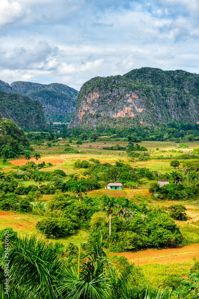 The Viñales valley in Cuba