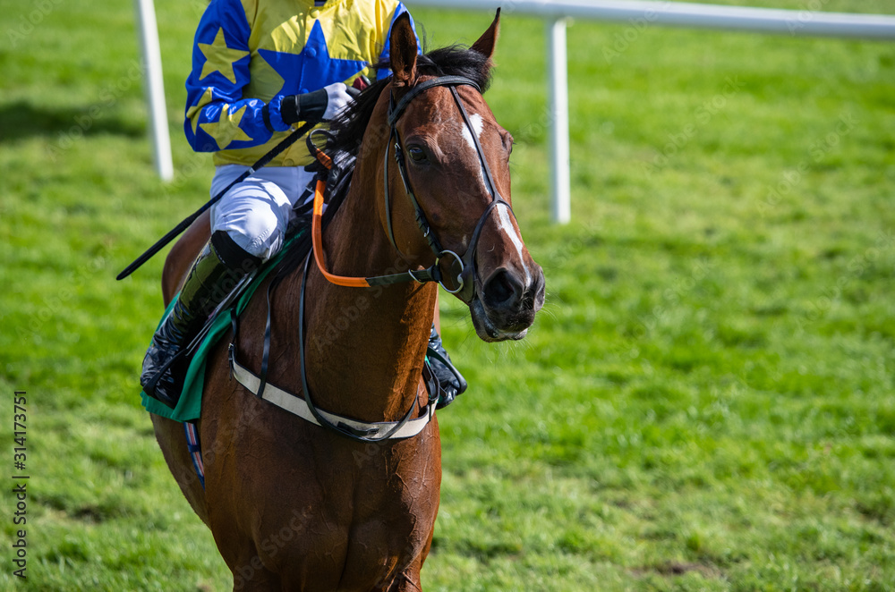 Race horse and jockey walking by race track barrier Race horse and jockey walking by race track barrier