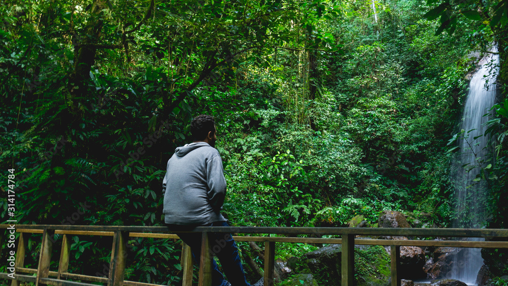 Man enjoying and relaxing in the forest sitting in the wood Man enjoying and relaxing in the forest sitting in the wood