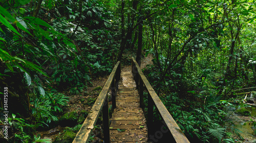 Beautiful wooden bridge in Panacam green forest Honduras