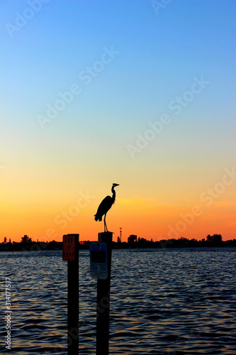 silhouette of crane in sunset