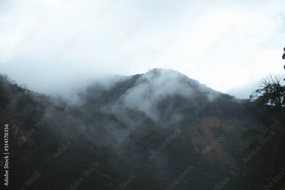 Smokey Mountains