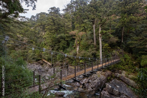 ヤクスギランド