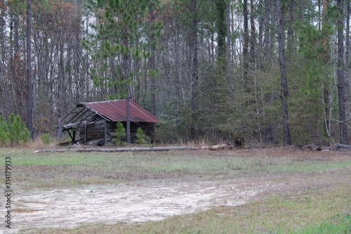 abandoned old run down shed outhouse woods forest swamp
