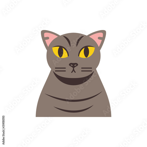 Cute light brown cat cartoon vector design