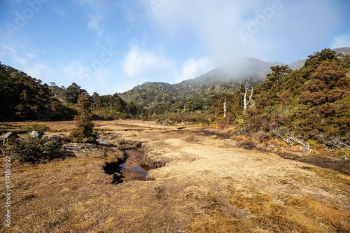 屋久島 花之江河