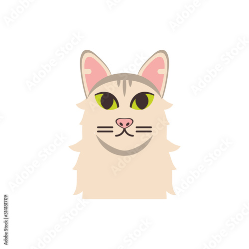Cute white and grey cat cartoon vector design