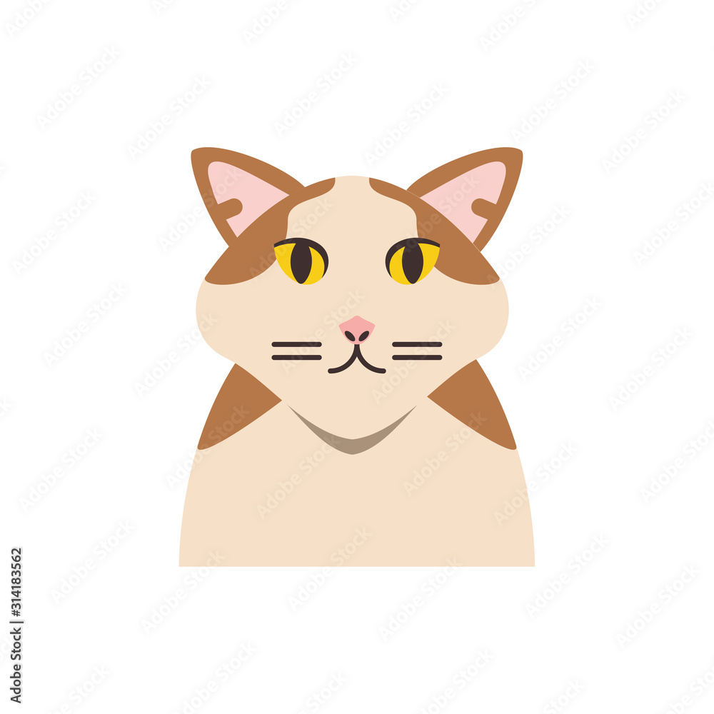Cute white and brown cat cartoon vector design Cute white and brown cat cartoon vector design