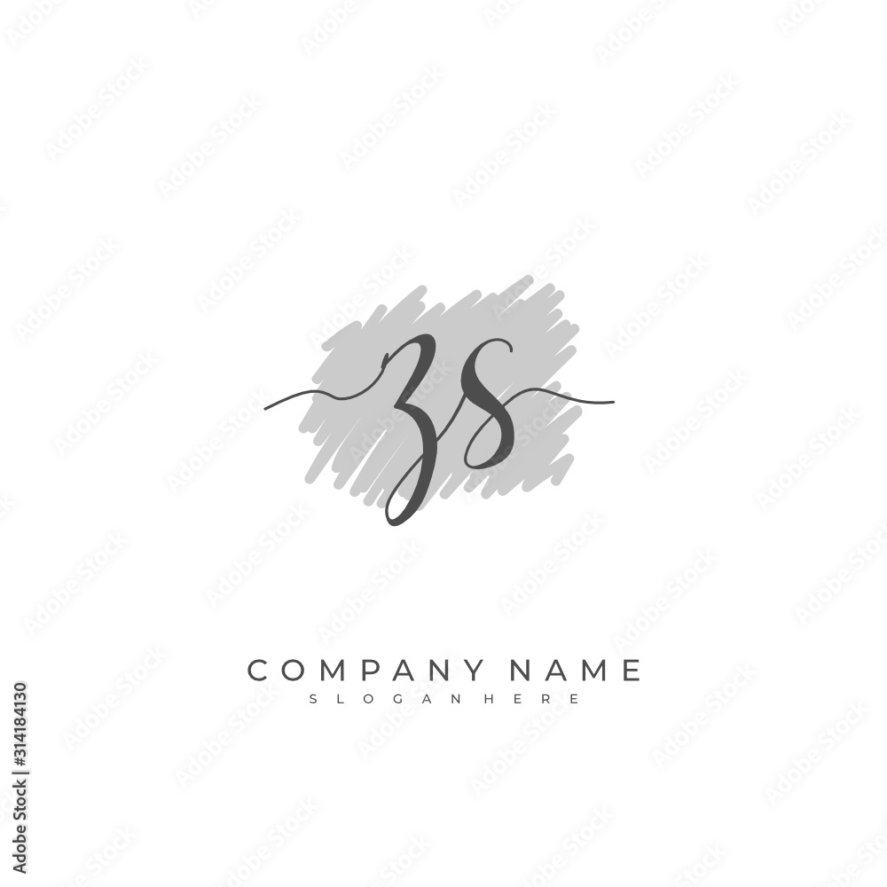 Handwritten initial letter Z S ZS for identity and logo. Vector logo template with handwriting and signature style.