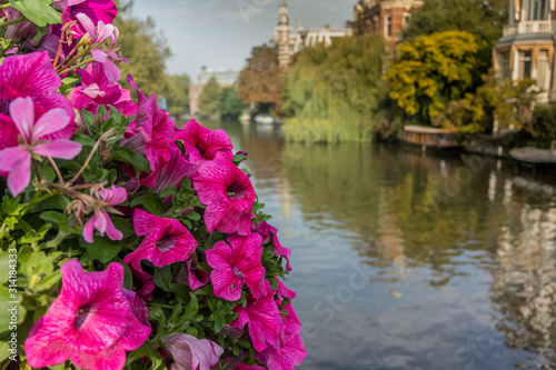 Flowers along canal in Amsterdam