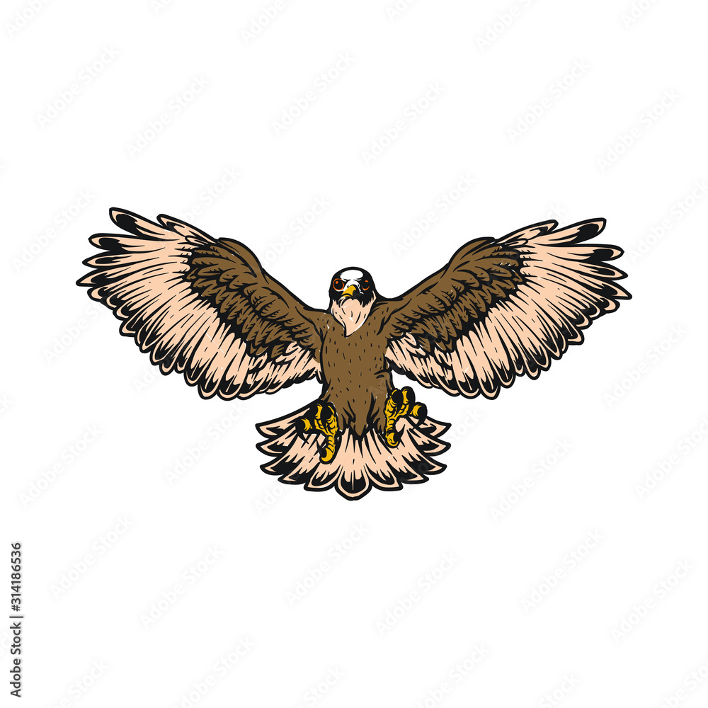 Fototapeta premium falcon, eagle flaying animal vector