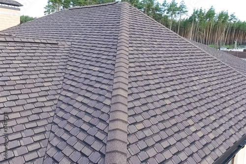 Bituminous tile for a roof. House with a roof from a bituminous