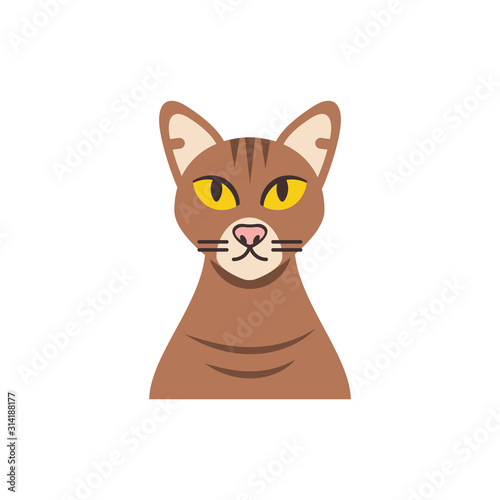 Cute brown cat cartoon vector design