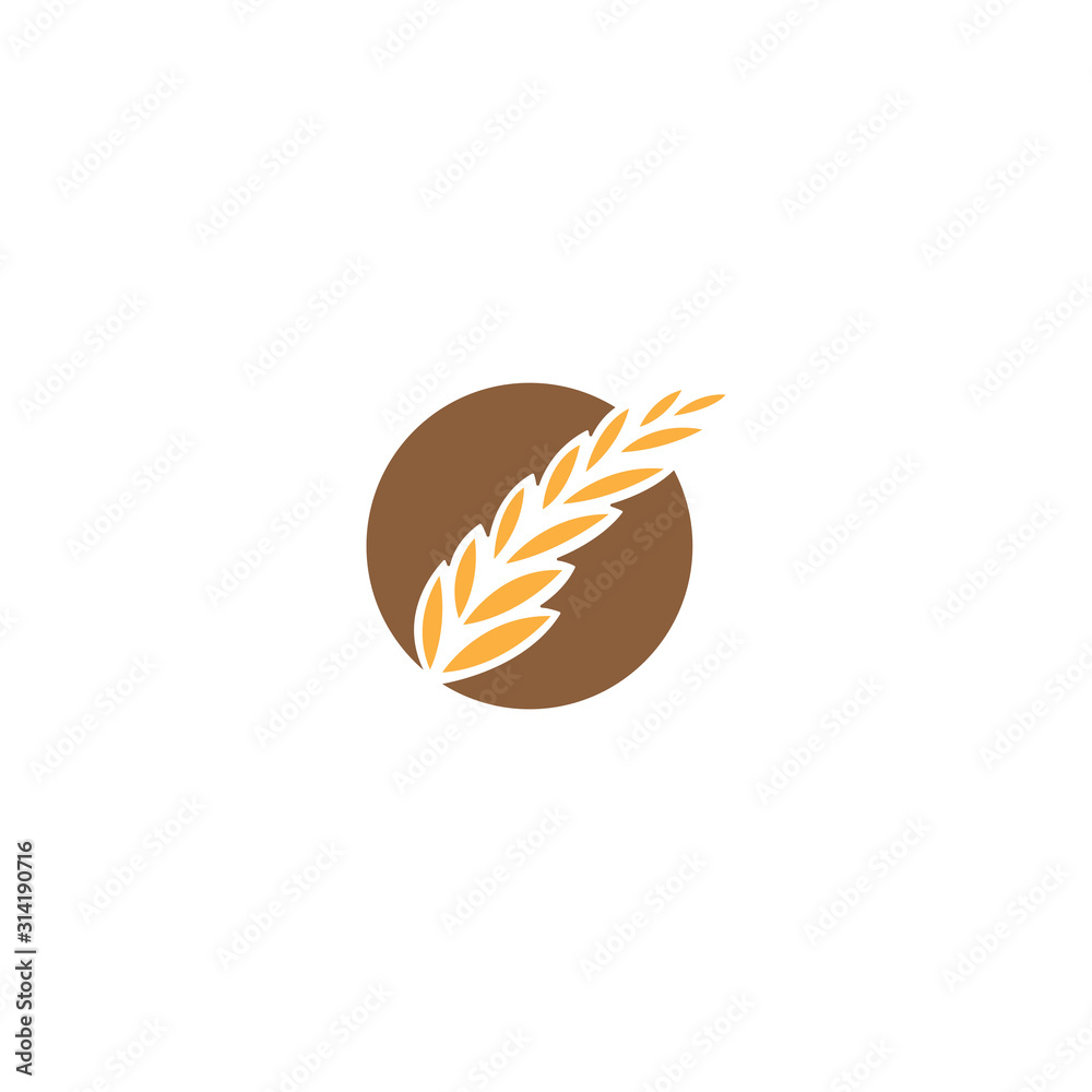 Fototapeta premium Agriculture Wheat logo template vector Luxury Wheat Logo Concept Icon Symbol