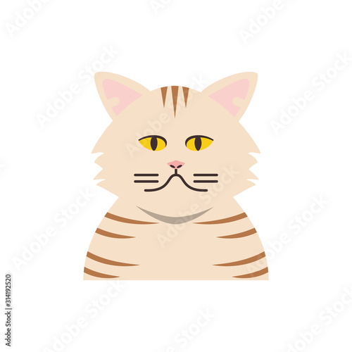 Cute striped white cat cartoon vector design