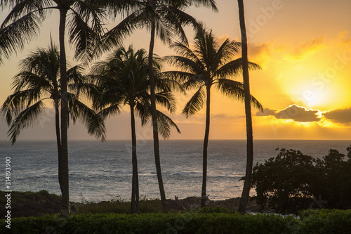 Sunset over the ocean on a peaceful tropical island with palm trees and orange skies.