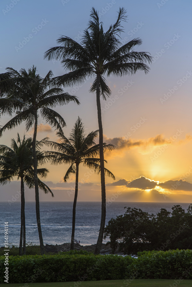 Sunset over the ocean on a peaceful tropical island with palm trees and orange skies. Sunset over the ocean on a peaceful tropical island with palm trees and orange skies.