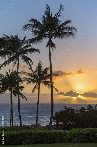 Sunset over the ocean on a peaceful tropical island with palm trees and orange skies.