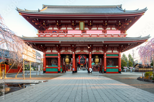 Sensoji temple gate with cherry blossom tree during spring season in morning at Asakusa district in Tokyo, Japan. Japan tourism, history building, or tradition culture and travel concept. photo