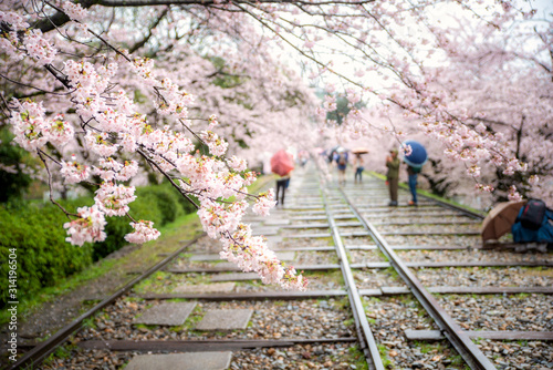People enjoy spring season at Keage incline with sakura (cherry blossoms) in Kyoto, Japan. Japan tourism, nature life, or landscape most visited tourist attractions concept. photo