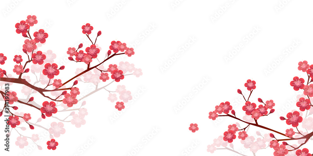 梅 花 春 背景 梅 花 春 背景