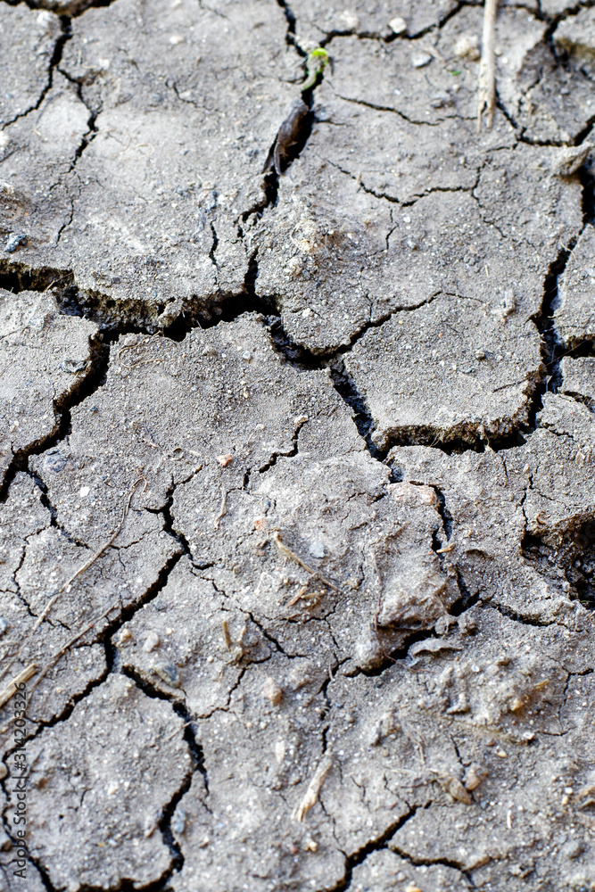 Obraz premium Large cracks in the gray soil. Land without irrigation