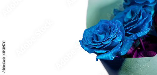 Bouquet of classic blue roses on a white background