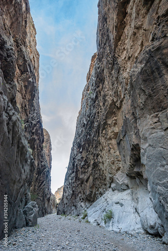 USA  Nevada  Clark County  Arrow Canyon Wilderness. A panel of petroglyphs with rock art feature hands  feet  intersections  and anthropomorphs.