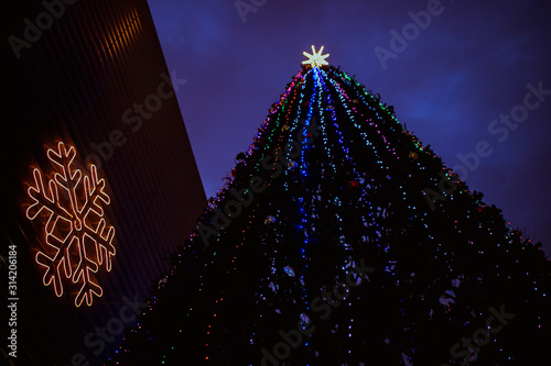 Christmas tree with lights outdoors at night in Kiev. Sophia Cathedral on background. New Year Celebration photo