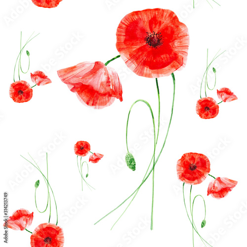 Beautiful red poppies. Watercolor illustration isolated on white background.Seamless pattern