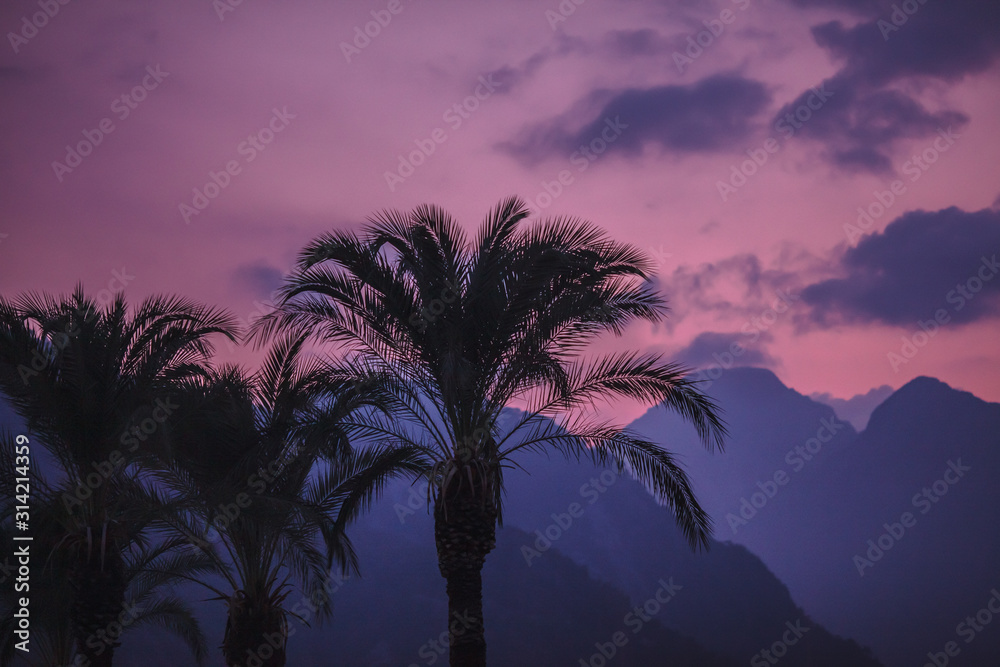 vivid and colorful clouds above mountains  with palm trees silhouettes in the foreground