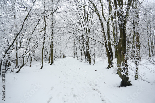 A snow covered woodland path on a winters day in Balls Wood, Hertford Heath, UK.