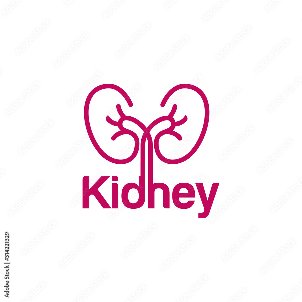 Fototapeta premium Kidney Logo Template Urology Logo Stock Vector