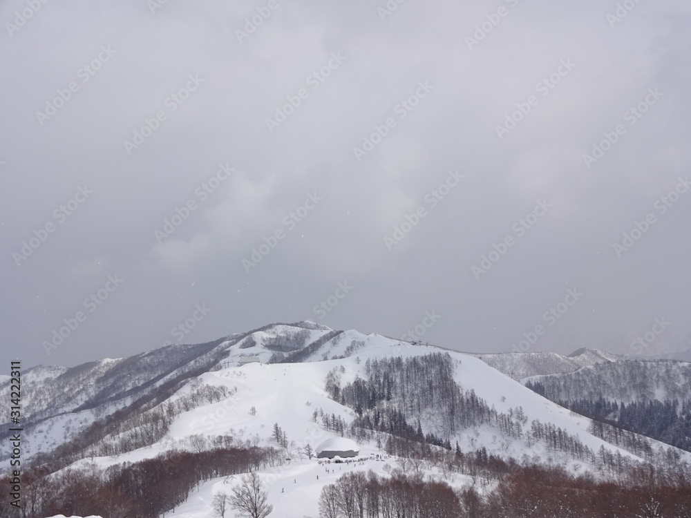 Fototapeta premium Snow resort in Niigata, Japan