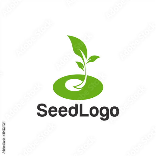 Growing Seed Logo Designs Vector Seed Stock Vector 