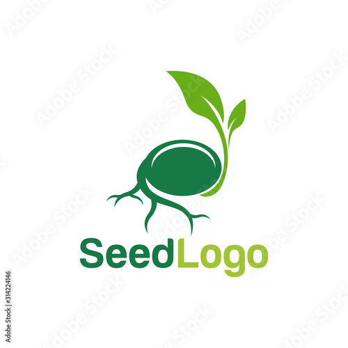 Growing Seed Logo Designs Vector Seed Stock Vector 