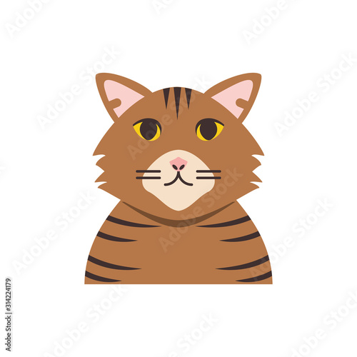 Cute brown and striped cat cartoon vector design
