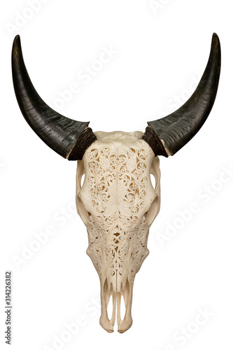 the head is a bull skull with carved patterns and horns on a white isolated background