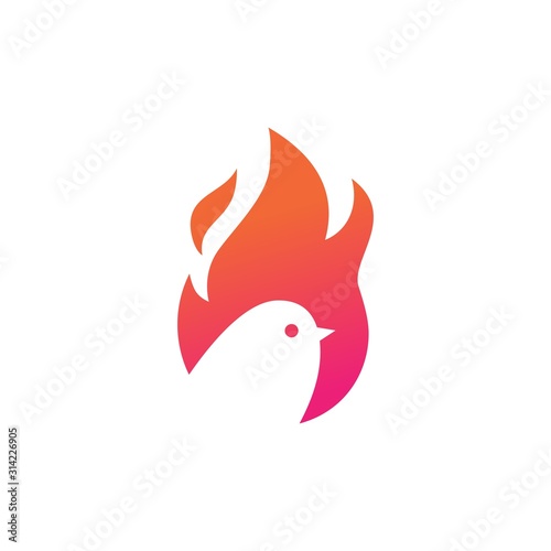 fire bird logo vector icon illustration negative space