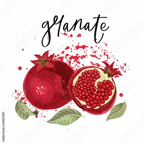 Postcards with pomegranate and leaves. Design element for a wedding,   birthday, natural and eco cosmetics. Can be used for a poster, invitation , or note.  Vector illustration. Printing on fabric, pa