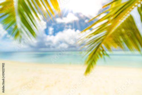 Beach abstract blur defocused background  toned gently blue  nature of tropical summer  rays of sun light. Beautiful sun glare on sea water and palm leaves against sky. Summer vacation concept.