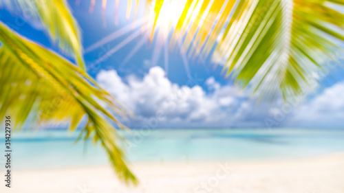 Beach abstract blur defocused background, toned gently blue, nature of tropical summer, rays of sun light. Beautiful sun glare on sea water and palm leaves against sky. Summer vacation concept.