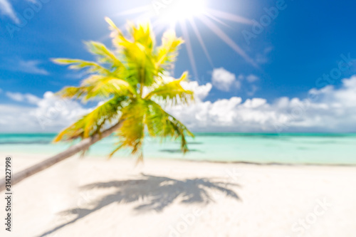 Fototapeta Naklejka Na Ścianę i Meble -  Beach abstract blur defocused background, toned gently blue, nature of tropical summer, rays of sun light. Beautiful sun glare on sea water and palm leaves against sky. Summer vacation concept.