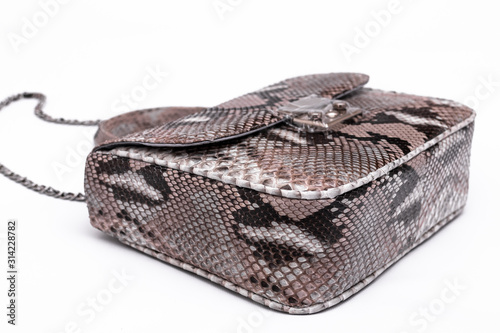 Luxury snakeskin python leather handbag isolated on a white background.