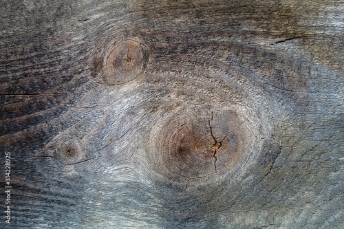 Old wood texture background. Top view. Copy space.