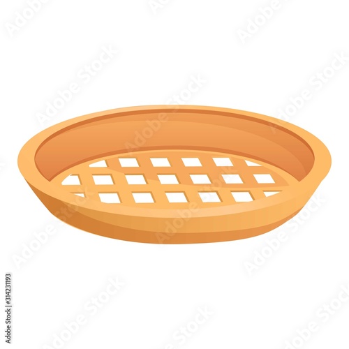 Wood sieve plate icon. Cartoon of wood sieve plate vector icon for web design isolated on white background