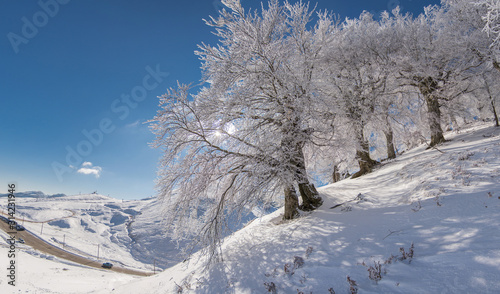 Frozen tranquility  Anilio  Metsovo Epirus 